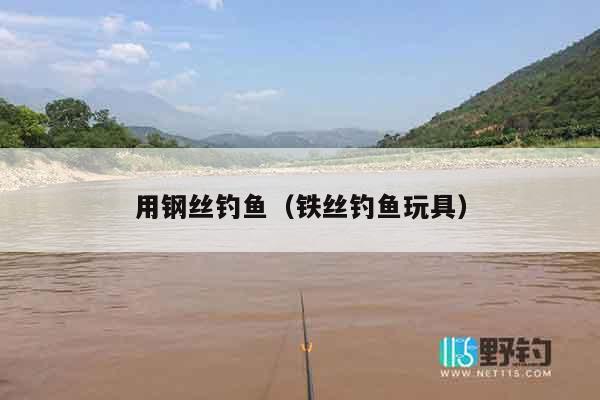 用钢丝钓鱼(铁丝钓鱼玩具) 用钢丝钓鱼(铁丝钓鱼玩具)