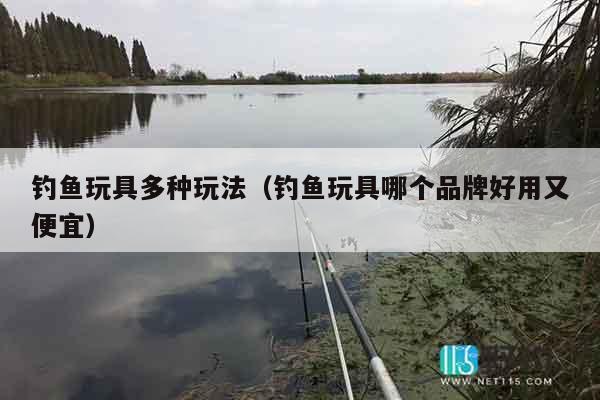 钓鱼玩具多种玩法(钓鱼玩具哪个品牌好用又便宜) 钓鱼玩具多种玩法(钓鱼玩具哪个品牌好用又便宜)