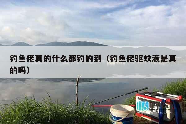 钓鱼佬真的什么都钓的到(钓鱼佬驱蚊液是真的吗) 钓鱼佬真的什么都钓的到(钓鱼佬驱蚊液是真的吗)