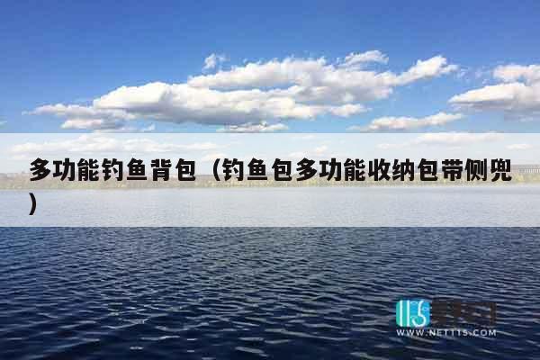 多功能钓鱼背包(钓鱼包多功能收纳包带侧兜) 多功能钓鱼背包(钓鱼包多功能收纳包带侧兜)