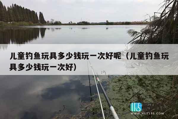 儿童钓鱼玩具多少钱玩一次好呢（儿童钓鱼玩具多少钱玩一次好）
