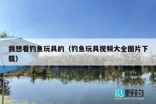 我想看钓鱼玩具的(钓鱼玩具视频大全图片下载) 我想看钓鱼玩具的(钓鱼玩具视频大全图片下载)