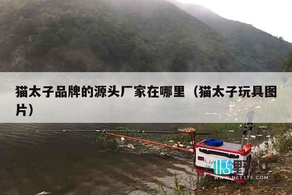 猫太子品牌的源头厂家在哪里(猫太子玩具图片) 猫太子品牌的源头厂家在哪里(猫太子玩具图片)