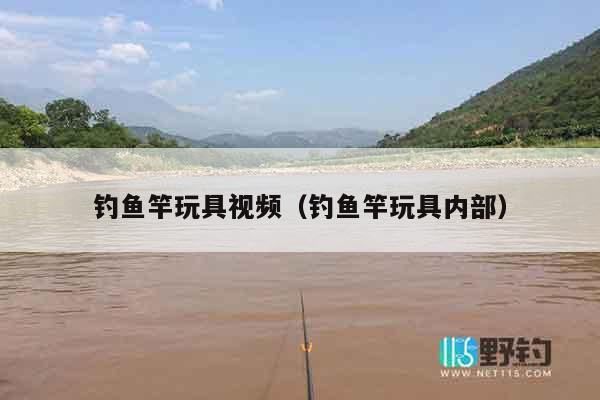 钓鱼竿玩具视频（钓鱼竿玩具内部）