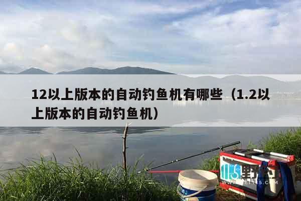 12以上版本的自动钓鱼机有哪些（1.2以上版本的自动钓鱼机）