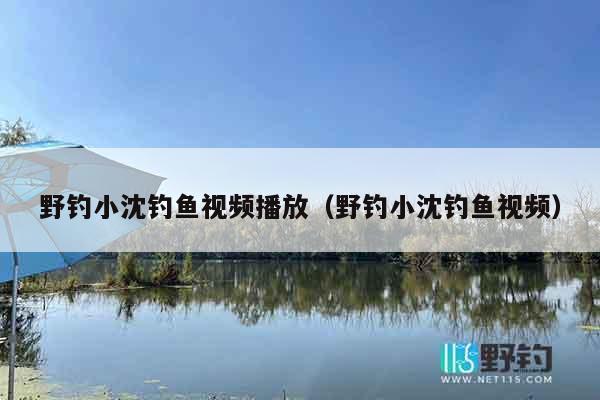 野钓小沈钓鱼视频播放（野钓小沈钓鱼视频）