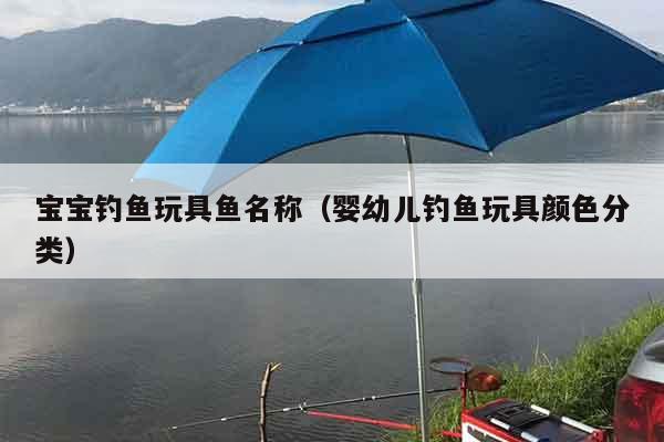 宝宝钓鱼玩具鱼名称（婴幼儿钓鱼玩具颜色分类）
