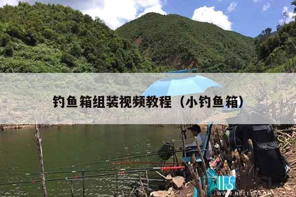 钓鱼箱组装视频教程（小钓鱼箱）