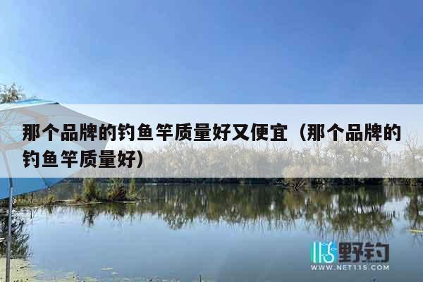 那个品牌的钓鱼竿质量好又便宜（那个品牌的钓鱼竿质量好）